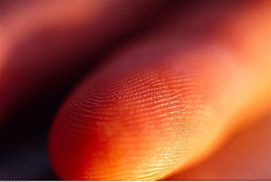 《妖精剑士F RefrainChord》系统介绍 9月15日发售